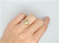 Anello Lorenza Gioielli Bambino Coccinella in Oro AN573340-9 - AN573340-9